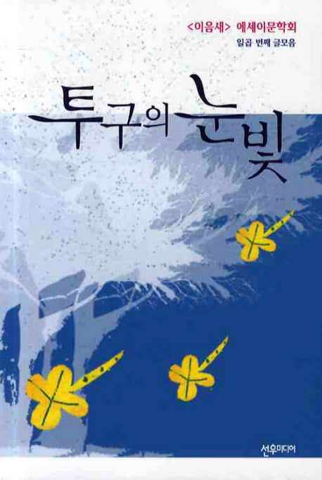 투구의 눈빛