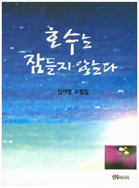 호수는 잠들지 않는다