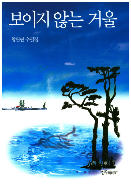 보이지 않는 거울