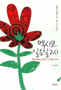 멕시코 일요일 2시 : 치유를 위한 여행 에세이 멕시코 이야기