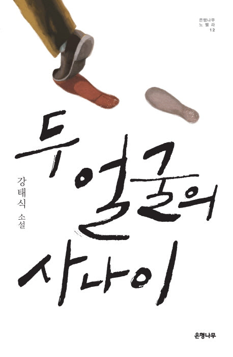 두 얼굴의 사나이(은행나무 노벨라 12)
