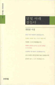 달빛 아래 잠들다(모아드림 기획시선 120)