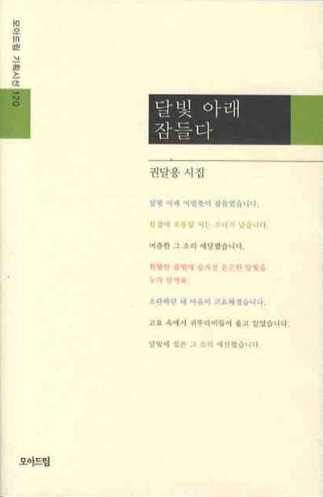 달빛 아래 잠들다(모아드림 기획시선 120)