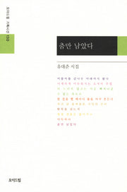 춤만 남았다(모아드림 기획시선 130)