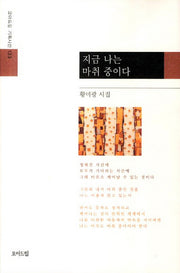 지금 나는 마취 중이다(모아드림 기획시선 133)