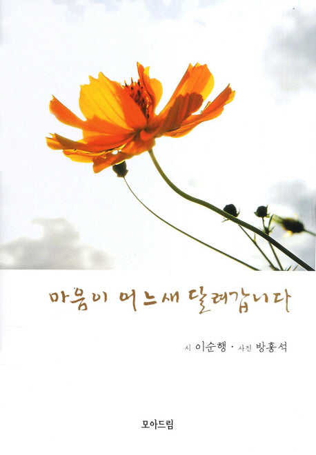 마음이 어느새 달려갑니다(양장본 Hardcover)