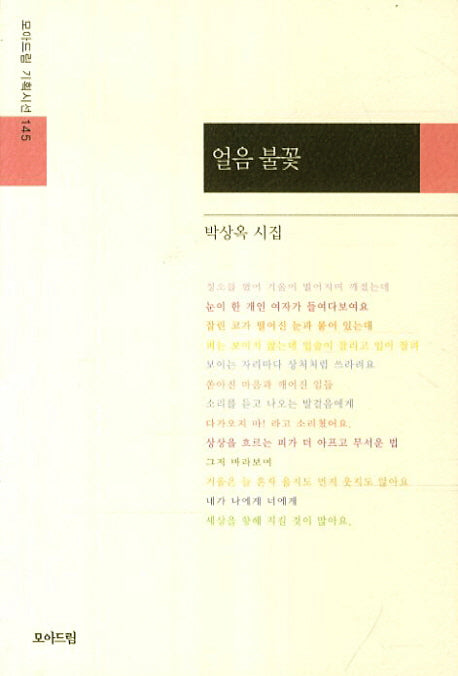 얼음 불꽃(모아드림 기획시선 145)