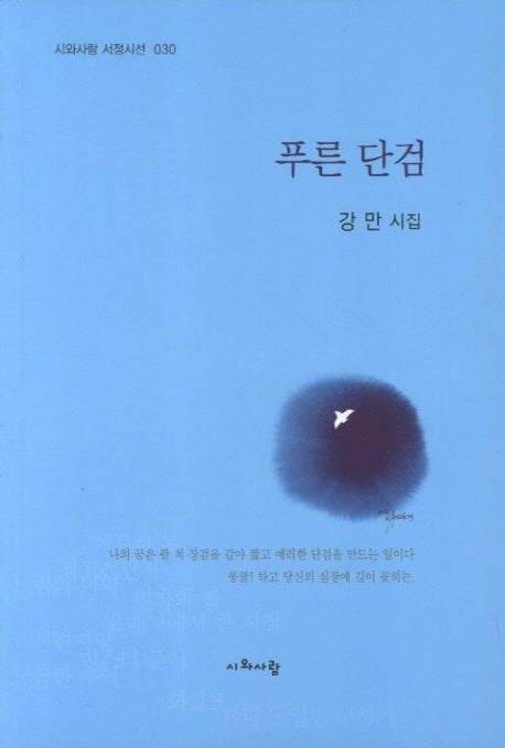 푸른 단검(시와사람 서정시선 30)