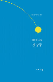갯방풍(시와사람 서정시선 47)(양장본 HardCover)
