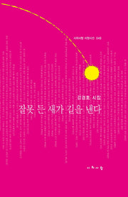 잘못 든 새가 길을 낸다(시와사람 서정시선 48)(양장본 HardCover)