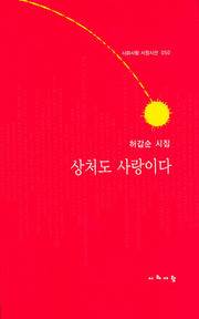 상처도 사랑이다(시와사람 서정시선 50)