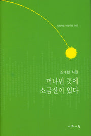 머나먼 곳에 소금산이 있다(시와사람 서정시선 62)(양장본 Hardcover)
