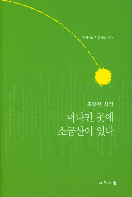 머나먼 곳에 소금산이 있다(시와사람 서정시선 62)(양장본 Hardcover)