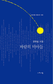 바람의 미아들(시와사람 서정시선 65)