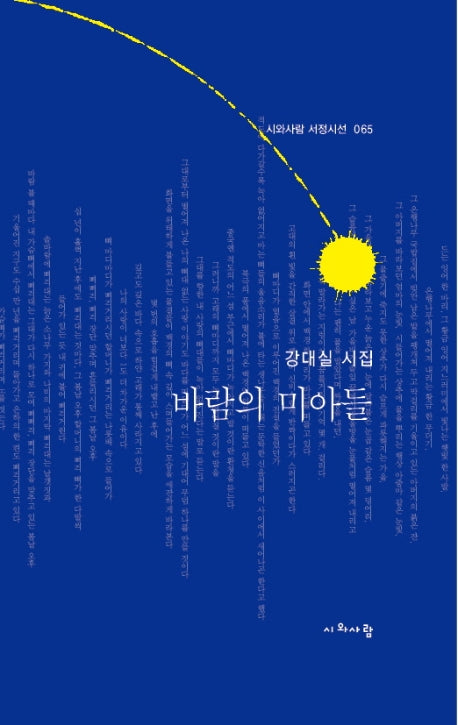 바람의 미아들(시와사람 서정시선 65)