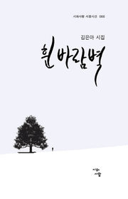 흰 바람벽(시와사람 서정시선 66)