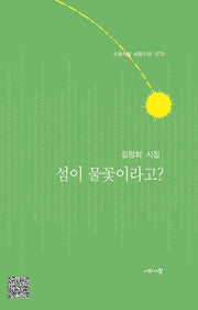 섬이 물꽃이라고?(시와사람 서정시선 70)