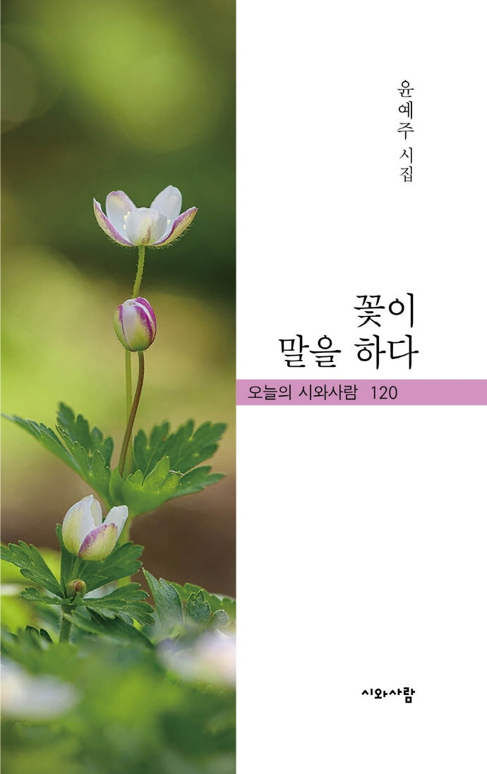 꽃이 말을 하다(오늘의 시와사람 120)