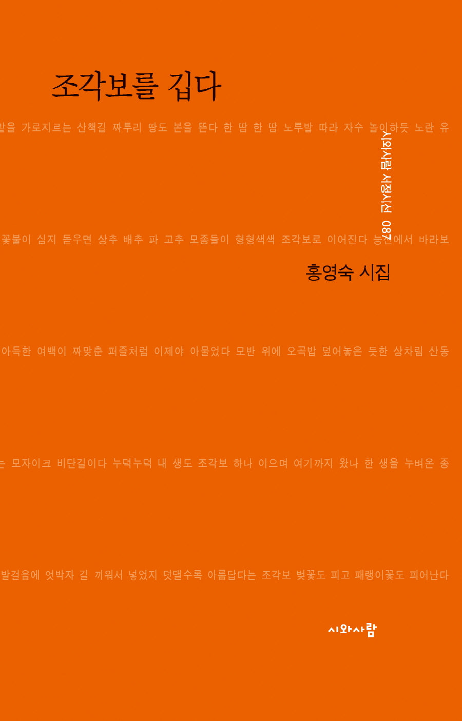 조각보를 깁다(시와사람 서정시선 87)