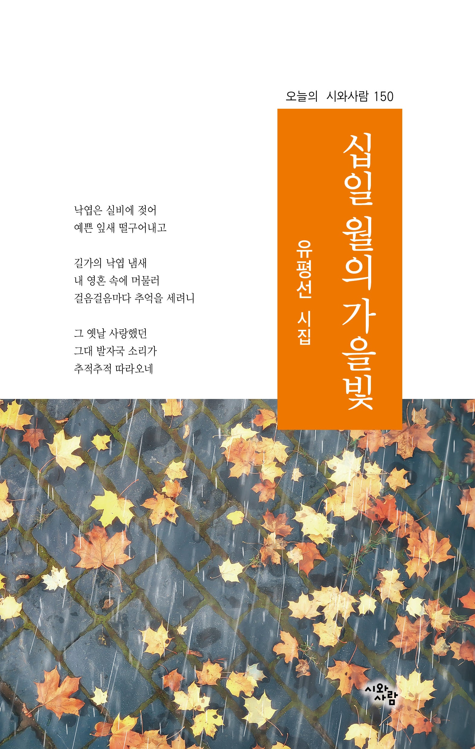 십일 월의 가을빛(오늘의 시와사람 150)