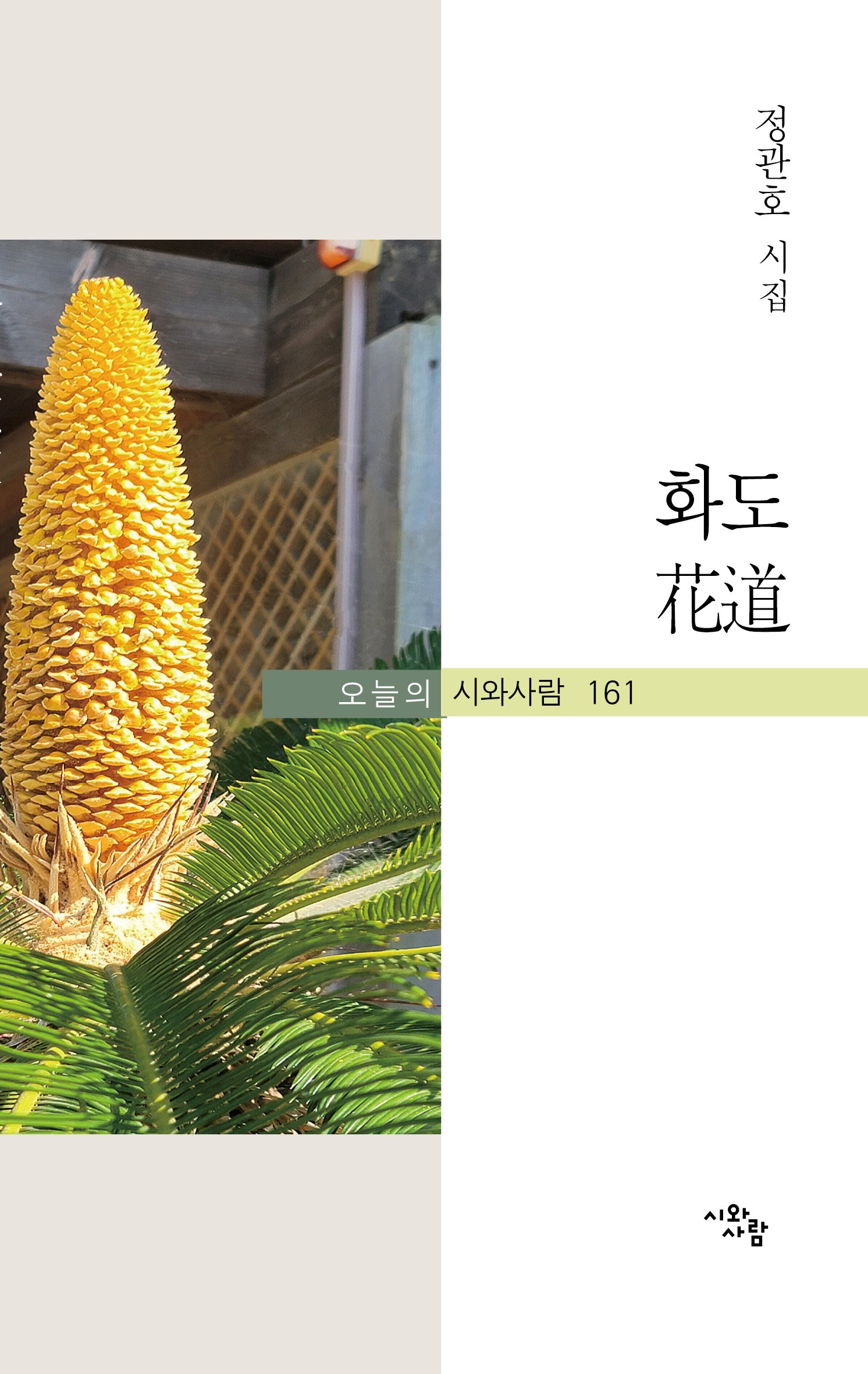 화도(오늘의 시와사람 161)