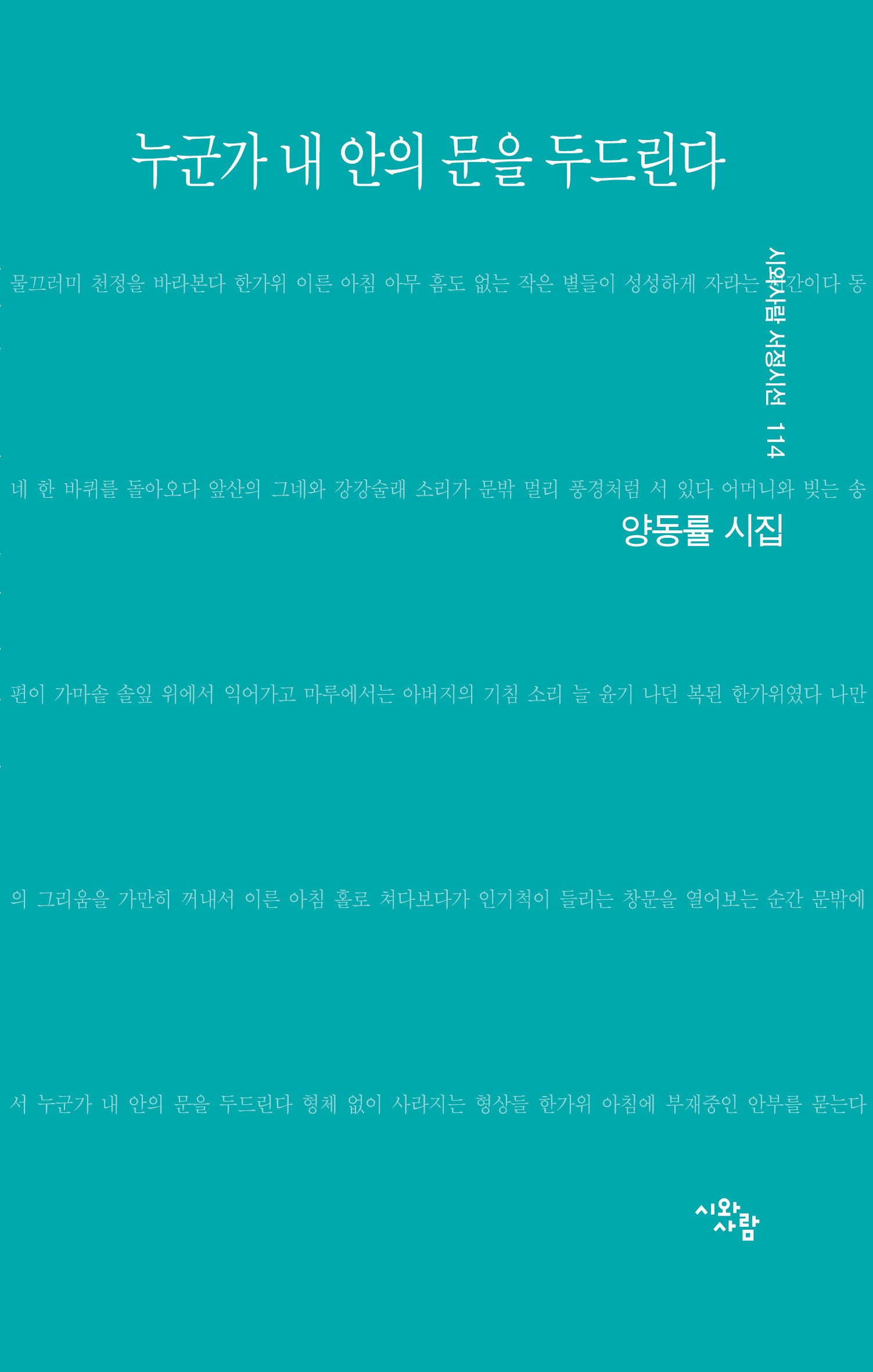 누군가 내 안의 문을 두드린다(시와사람 서정시선 114)