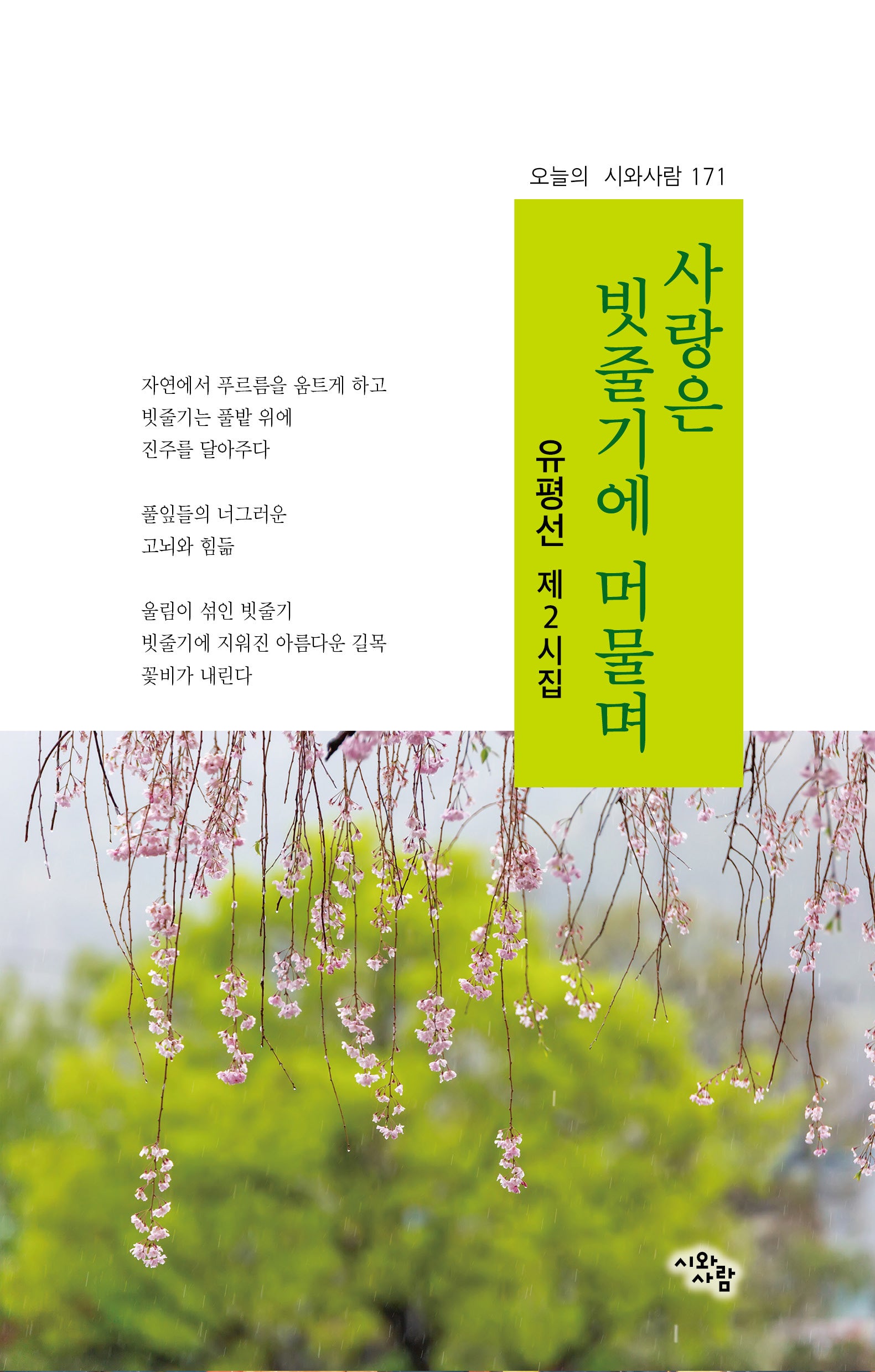 사랑은 빗줄기에 머물며(오늘의 시와 사람 171)