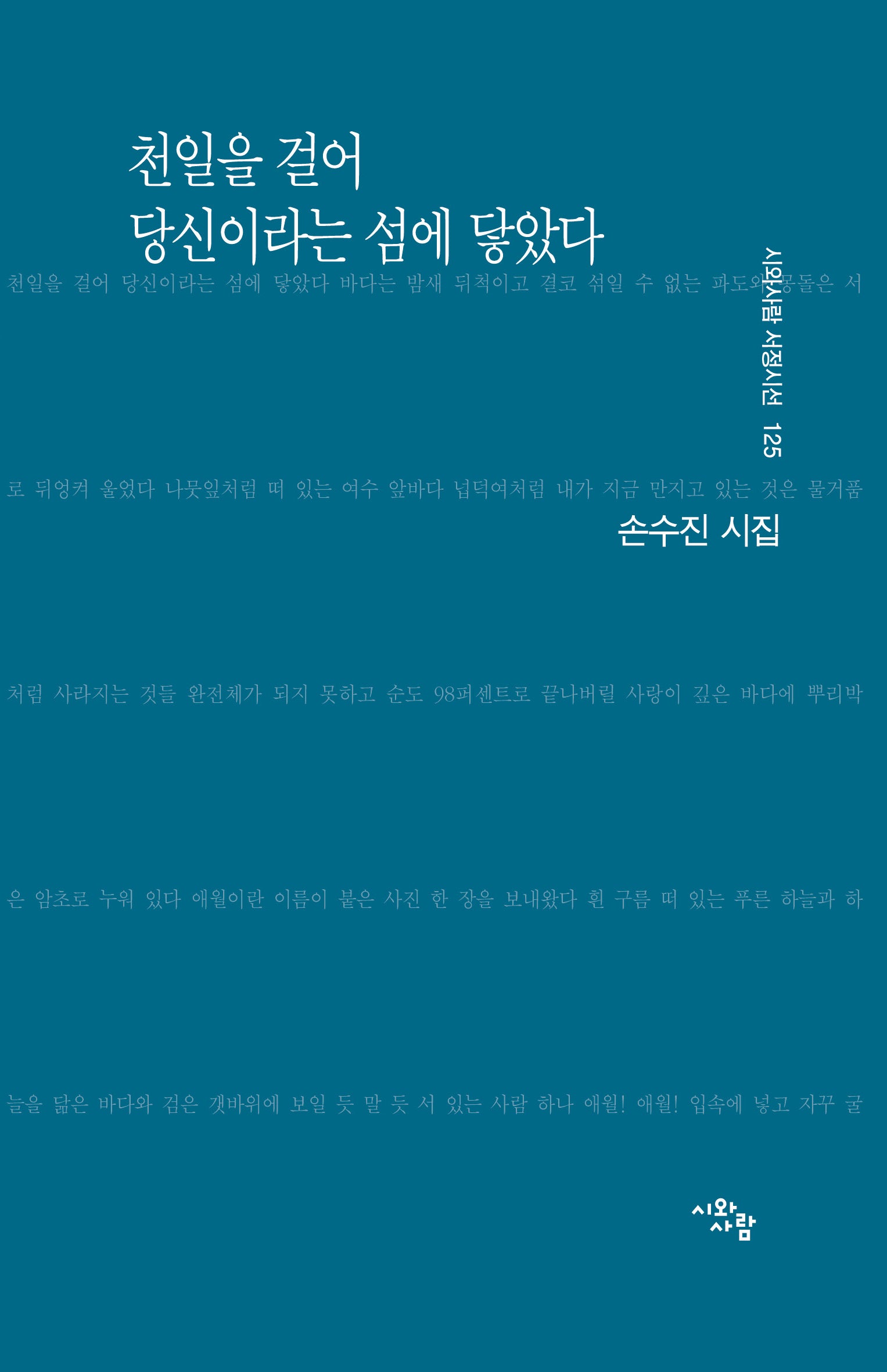 천일을 걸어 당신이라는 섬에 닿았다(시와사람 서정시선 125)
