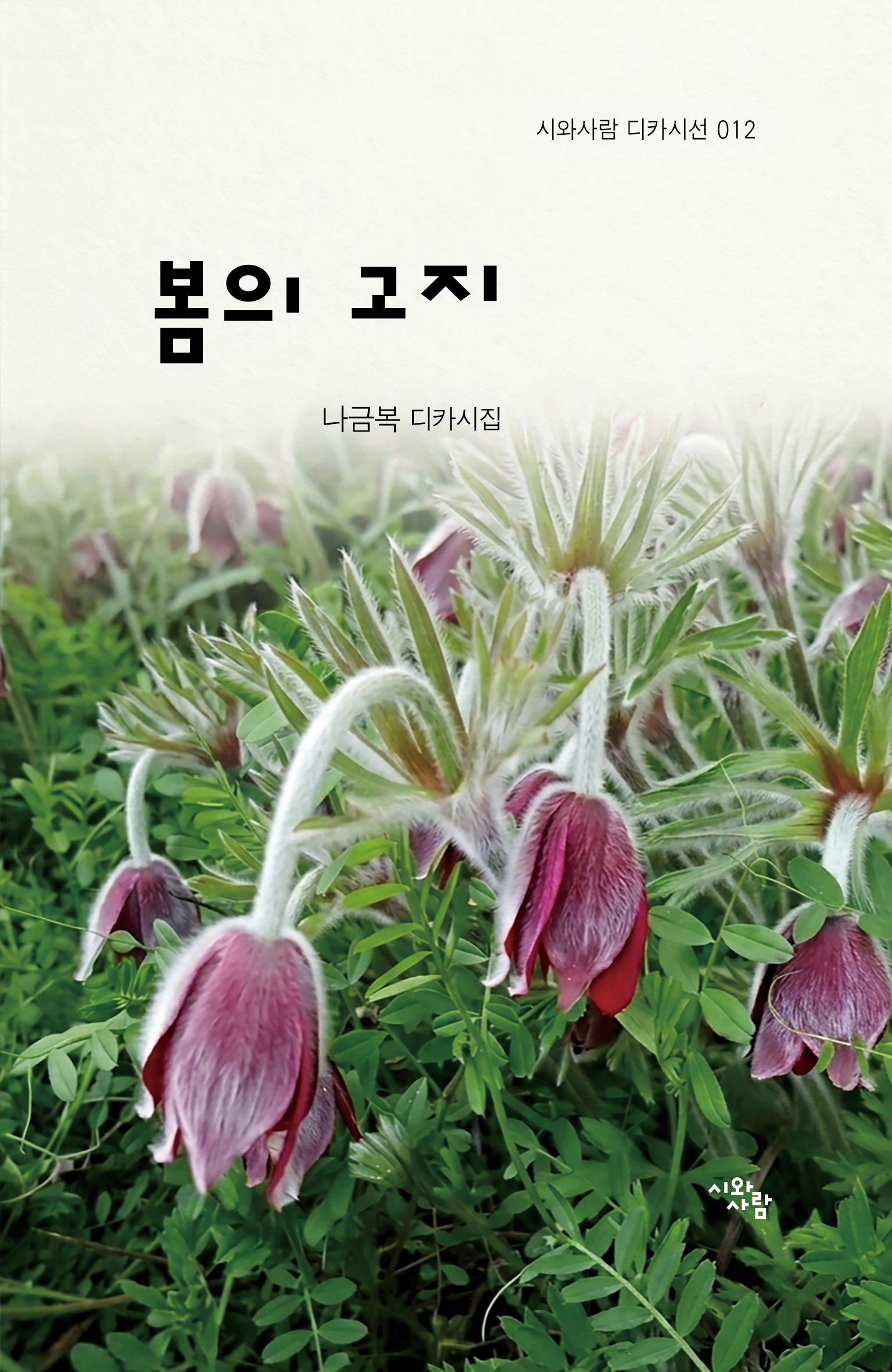 봄의 고지
