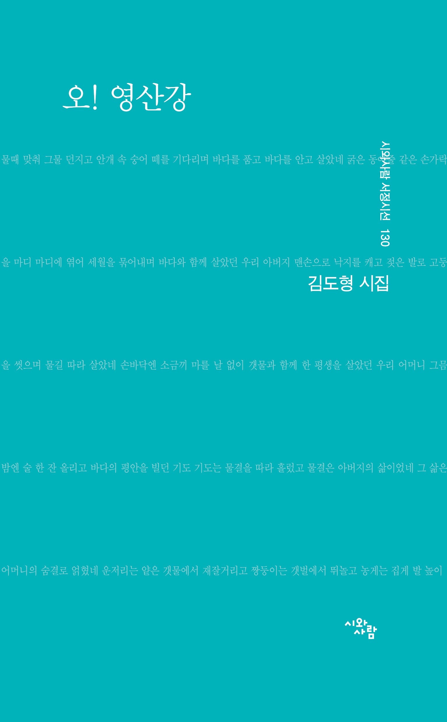 오! 영산강(시와사람 서정시선 130)