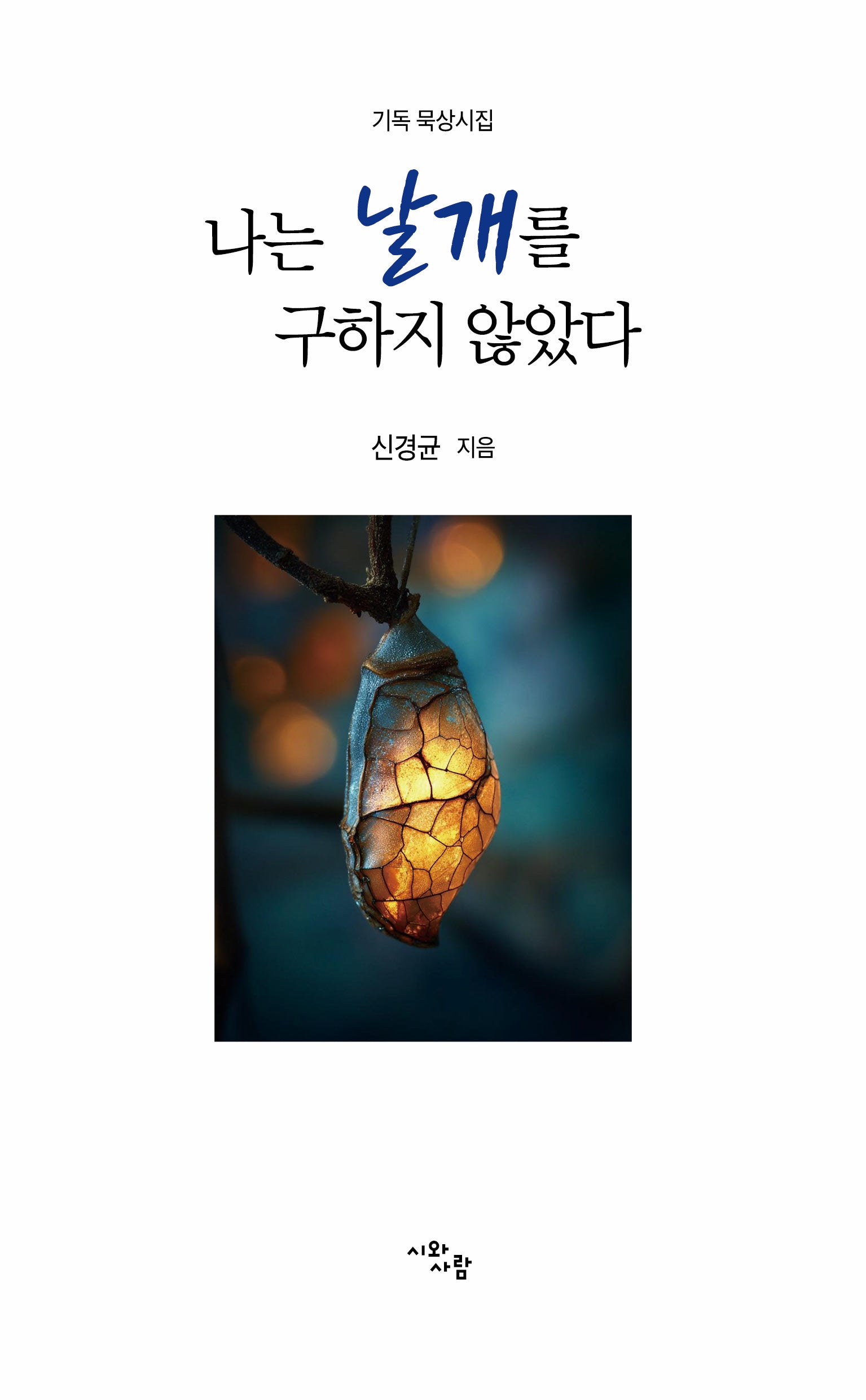나는 날개를 구하지 않았다