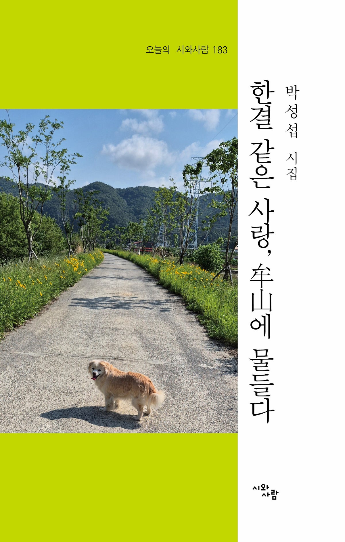 한결같은 사랑 모산에 물들다(오늘의 시와사람 183)