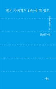 별은 가벼워서 하늘에 떠 있고(시와사람 서정시선 134)