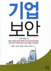 기업보안: 사이버안전111