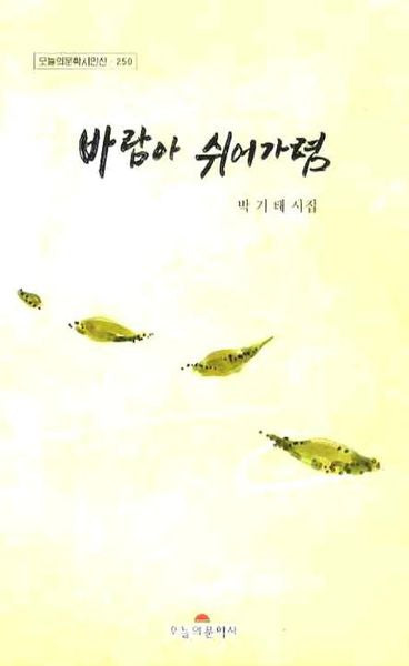 바람아 쉬어가렴(오늘의문학시인선 250)