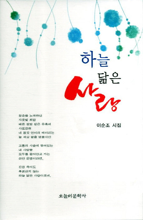 하늘 닮은 사랑(양장본 Hardcover)