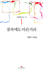 꿈속에도 아른거려(오늘의문학시인선 294)