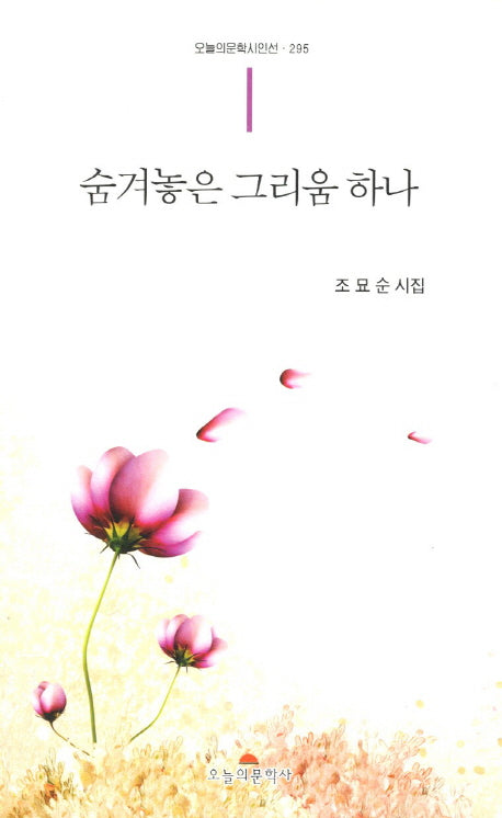 숨겨놓은 그리움 하나(오늘의문학시인선 295)