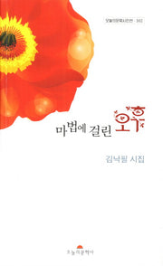 마법에 걸린 오후(오늘의문학시인선 302)