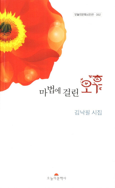 마법에 걸린 오후(오늘의문학시인선 302)