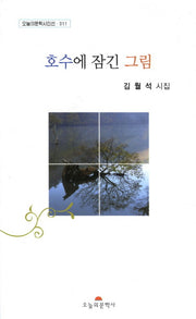 호수에 잠긴 그림(오늘의문학시인선 311)