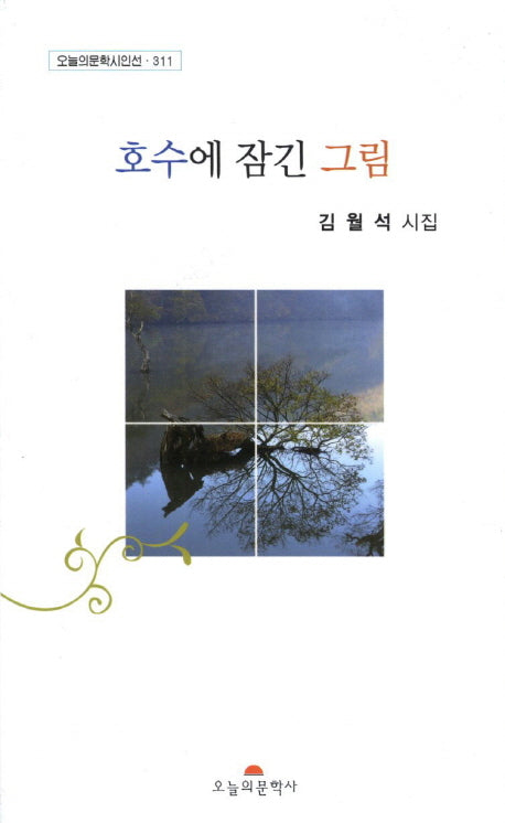 호수에 잠긴 그림(오늘의문학시인선 311)