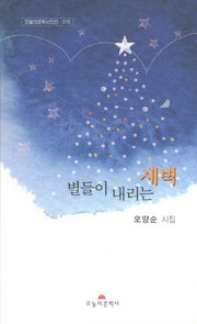 별들이 내리는 새벽(오늘의문학시인선 315)