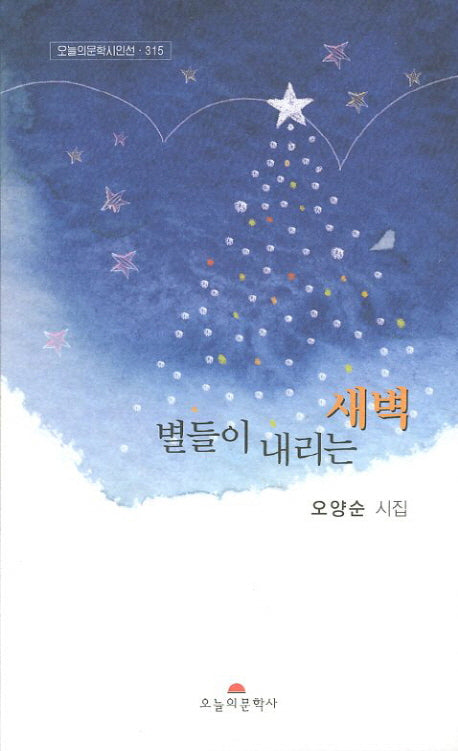 별들이 내리는 새벽(오늘의문학시인선 315)