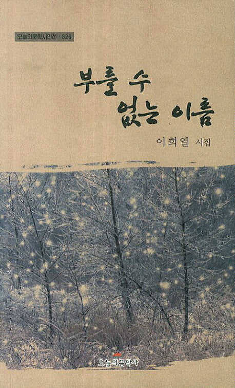 부를 수 없는 이름(오늘의문학시인선 326)