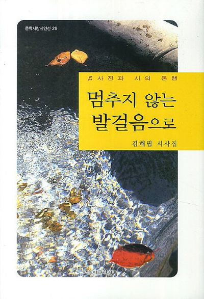 멈추지 않는 발걸음으로(문학사랑 시인선 29)