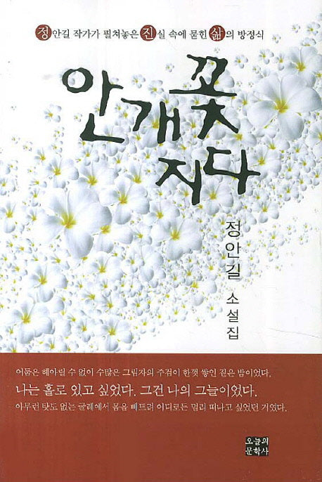 안개꽃 지다
