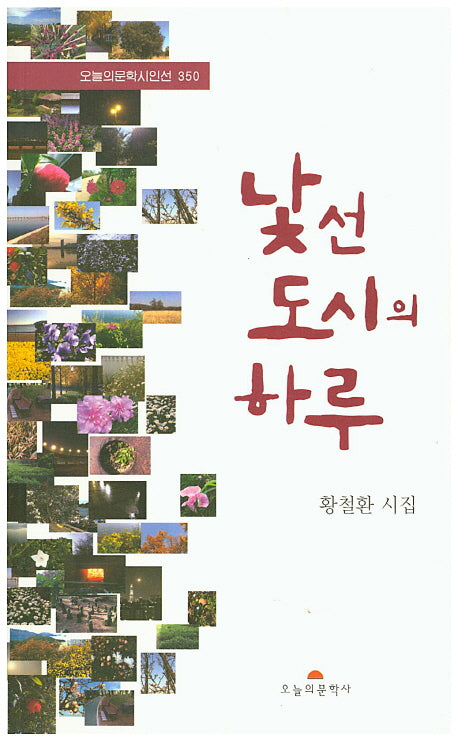 낯선 도시의 하루(오늘의문학시인선 350)