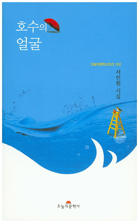 호수의 얼굴(오늘의문학시인선 352)