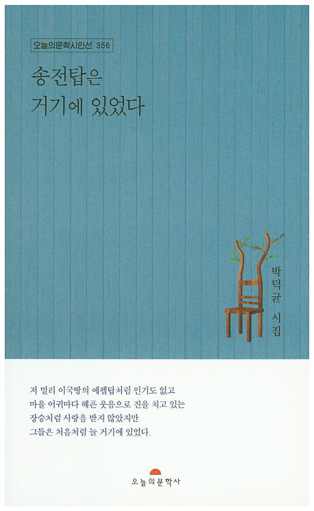 송전탑은 거기에 있었다(오늘의문학시인선 356)